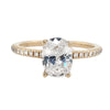 Classic Yellow Gold Diamond Engagement Ring Setting with 0.22 cttw Pave Band