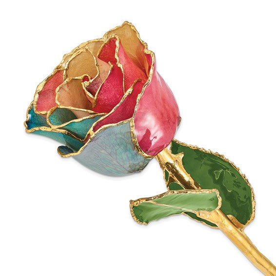 Tri-Color Rose with Gold Trim