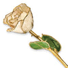 White with Sparkles Colored Rose with Gold Trim