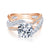 Zaira Engagement Ring Setting