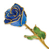 Birthstone Sapphire Blue Colored Rose for September with Gold Trim