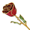 Birthstone Garnet Colored Rose for January with Gold Trim
