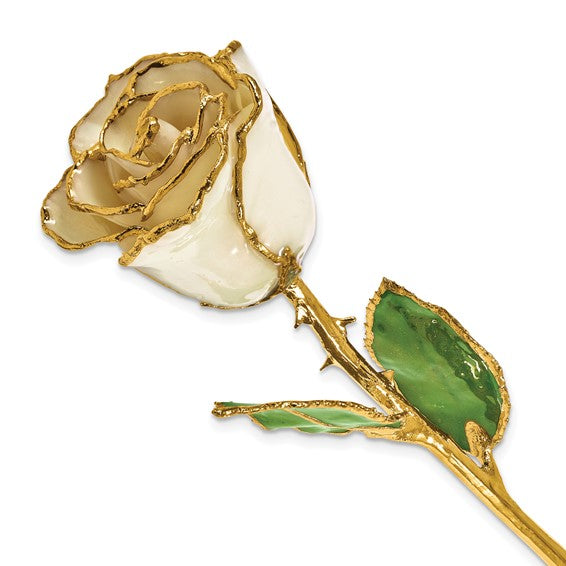 Birthstone Diamond Colored Rose for April with Gold Trim