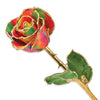 Aurora Rainbow Rose with Gold Trim