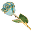 Birthstone Aquamarine Colored Rose for March with Gold Trim
