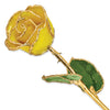 Yellow Rose with Gold Trim