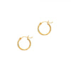 Polished Gold Hoop Earrings, 20mm