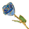 Birthstone Tanzanite Colored Rose for December with Gold Trim