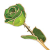Apple Green Rose with Gold Trim