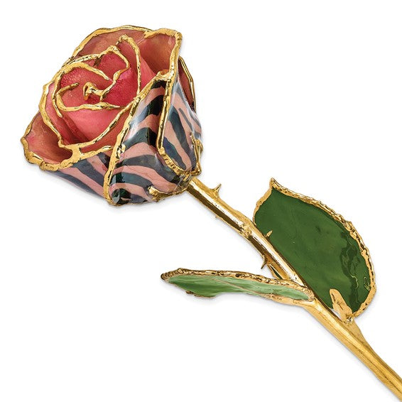 Chameleon Striped Rose with Gold Trim