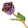 Purple with Sparkles Colored Rose with Gold Trim