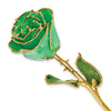 Birthstone Emerald Green Colored Rose for May with Gold Trim