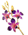 Pink to Purple Orchid with Gold Trim