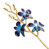 Blue to Purple Orchid with Gold Trim