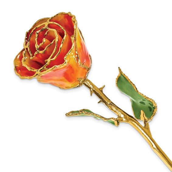 Amber birthstone shop