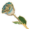 White to Navy Pearl Blue Rose with Gold Trim