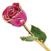 Fuchsia Rose with Gold Trim