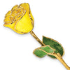 Yellow with Sparkles Colored Rose with Gold Trim