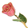 Pink Rose with Gold Trim